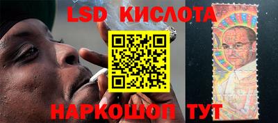 mdpv Новодвинск