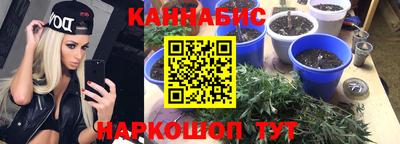 mdpv Новодвинск