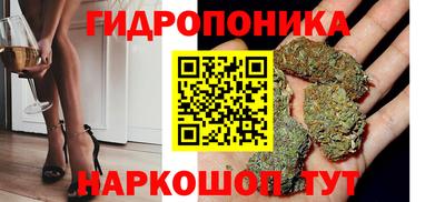 mdpv Новодвинск
