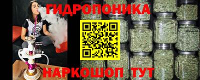 прущие крисы Новозыбков