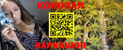 прущие крисы Новозыбков