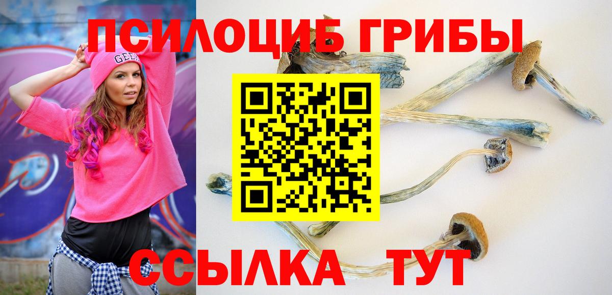 Псилоцибиновые грибы Magic Shrooms  Вход с VPN  Псилоцибиновые грибы Psilocybine cubensis  Шелехов 